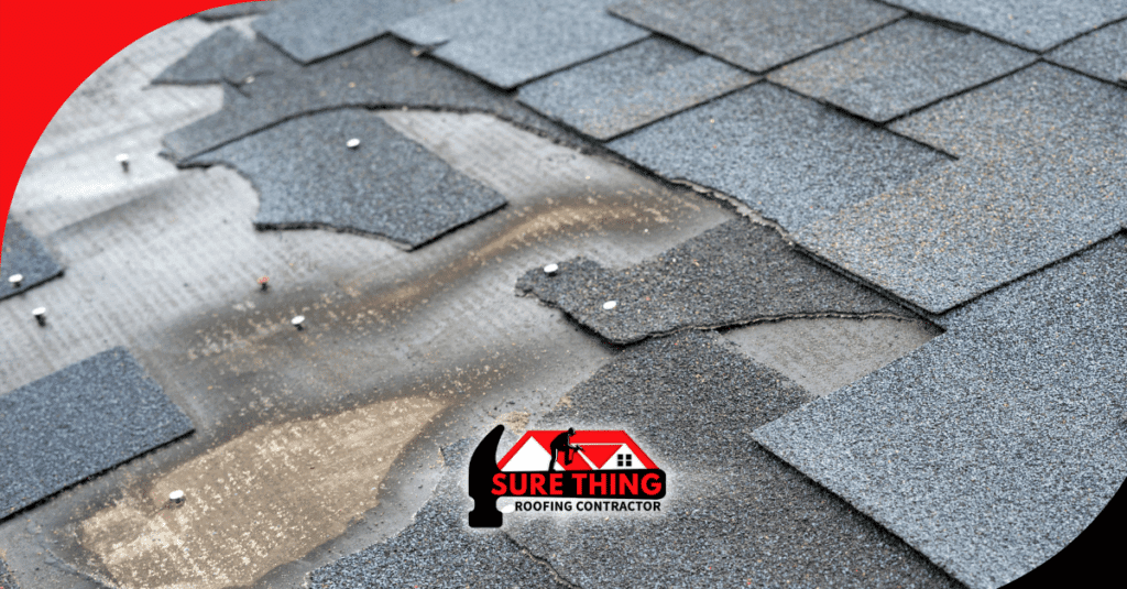 Peachtree City Roofing Contractor: Why You Shouldn’t Overlook Storm Damage and Roof Repairs