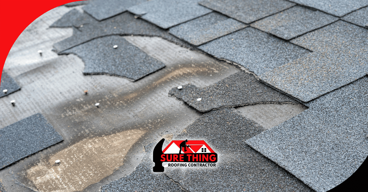Peachtree City Roofing Contractor: Why You Shouldn’t Overlook Storm Damage and Roof Repairs